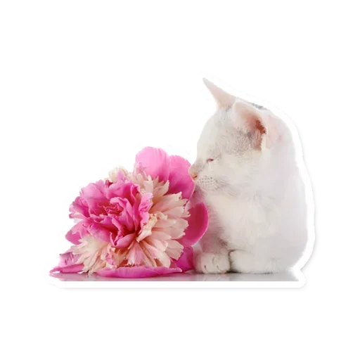 🌸 Стикер «Милые Питомцы» для Telegram