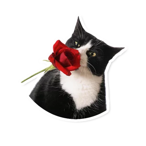 🌷 Стикер «Милые Питомцы» для Telegram
