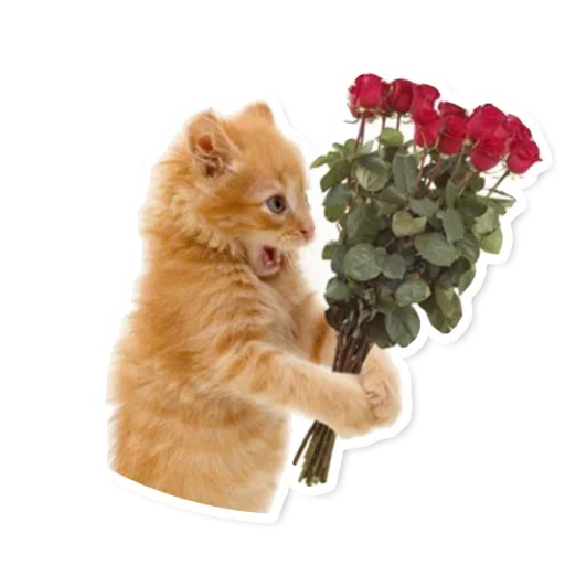 🌹 Стикер «Милые Питомцы» для Telegram