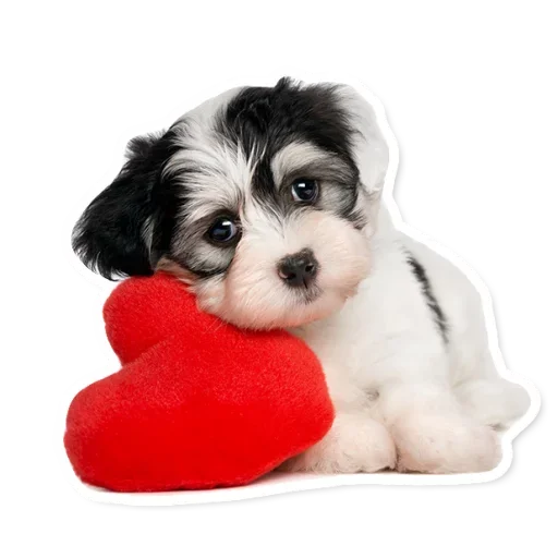 ❤ Стикер «Милые Питомцы» для Telegram