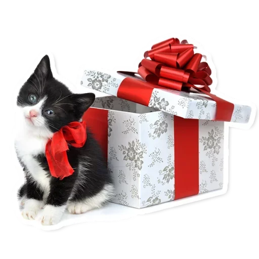 🎁 Стикер «Милые Питомцы» для Telegram