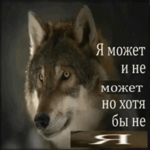 🙄 Стикер «Cody Body» для Telegram
