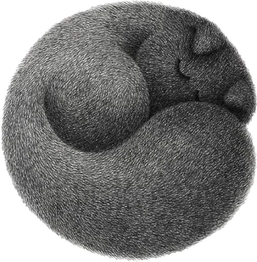 😴 Стикер «Night Cat» для Telegram