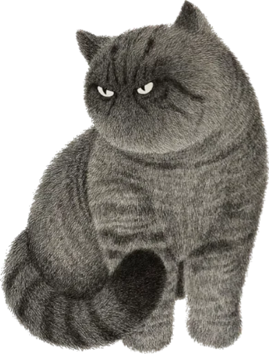 😟 Стикер «Night Cat» для Telegram