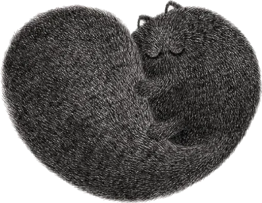 😘 Стикер «Night Cat» для Telegram