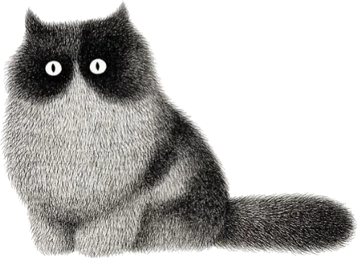 😶 Стикер «Night Cat» для Telegram