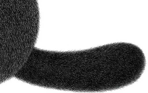 🥕 Стикер «Night Cat» для Telegram