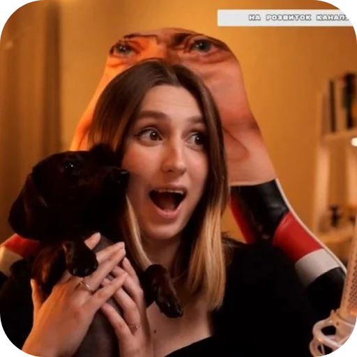 😱 Стикер «Nika Karuso» для Telegram