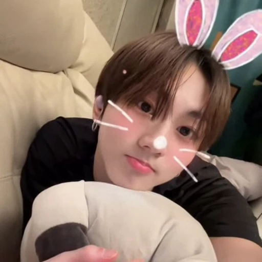 🐈 Стикер «Enhypen» для Telegram
