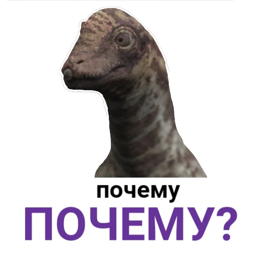 ❓️ Стикер «The Last Dino» для Telegram