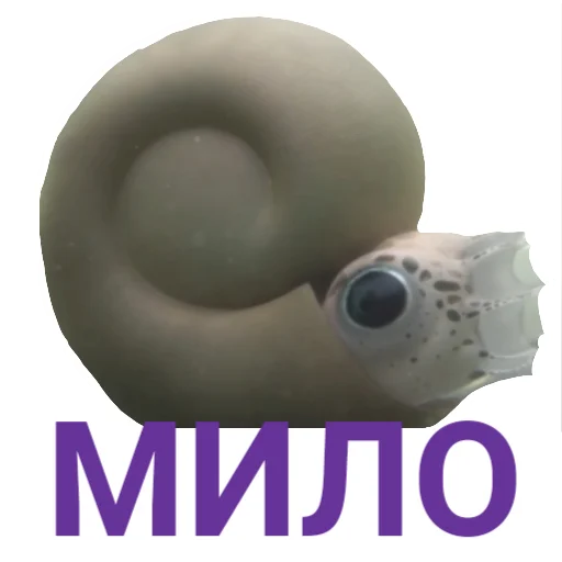 🐚 Стикер «The Last Dino» для Telegram
