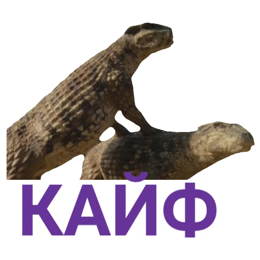 🥰 Стикер «The Last Dino» для Telegram