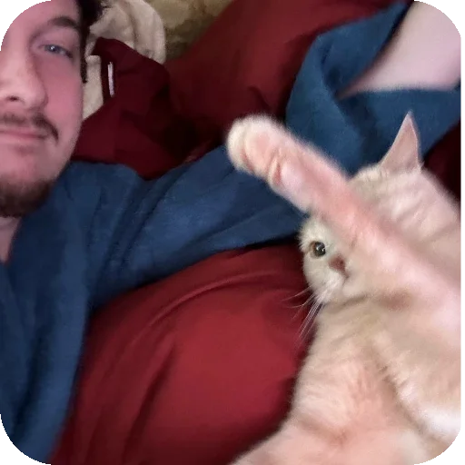 🐱 Стикер «ADHH» для Telegram