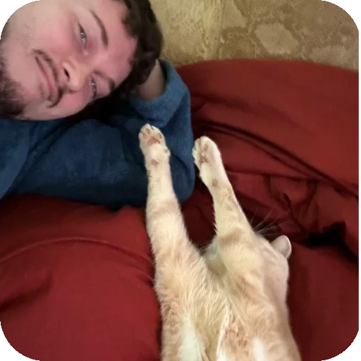 🐱 Стикер «ADHH» для Telegram