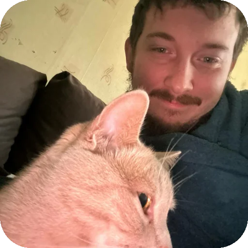 🐱 Стикер «ADHH» для Telegram