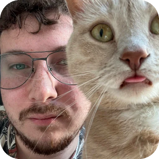 🐱 Стикер «ADHH» для Telegram