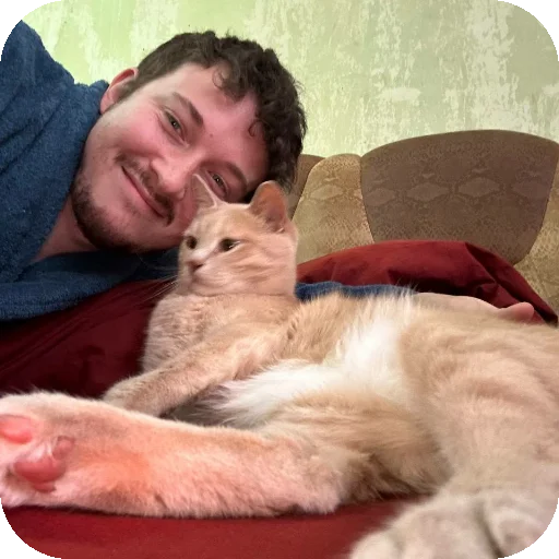 🐱 Стикер «ADHH» для Telegram
