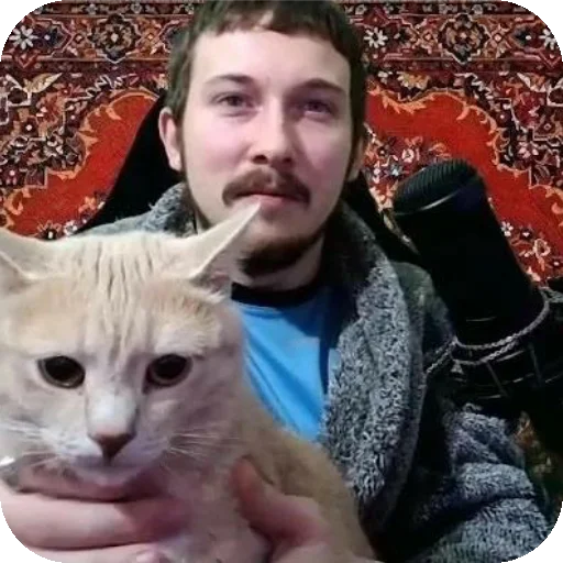 🐱 Стикер «ADHH» для Telegram