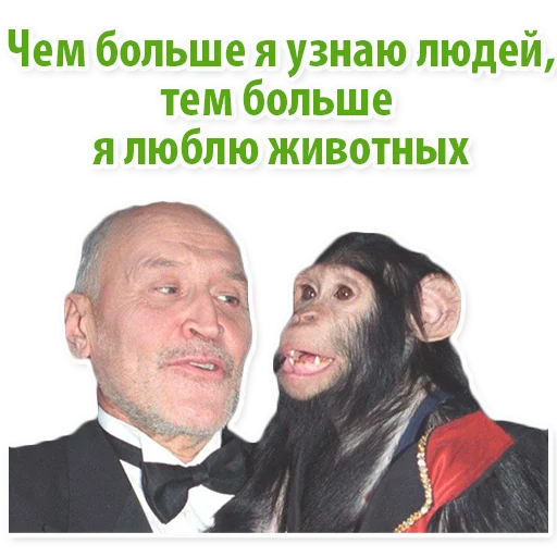 🐒 Стикер «Николай Дроздов (В Мире Животных)» для Telegram