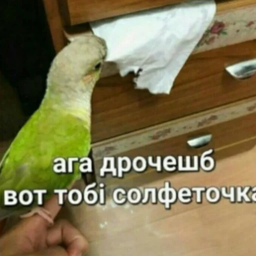 🤣 Стикер «Ржомба» для Telegram