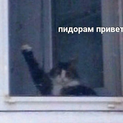 👋 Стикер «Ржомба» для Telegram