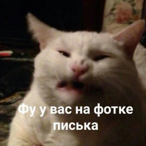 😁 Стикер «Ржомба» для Telegram