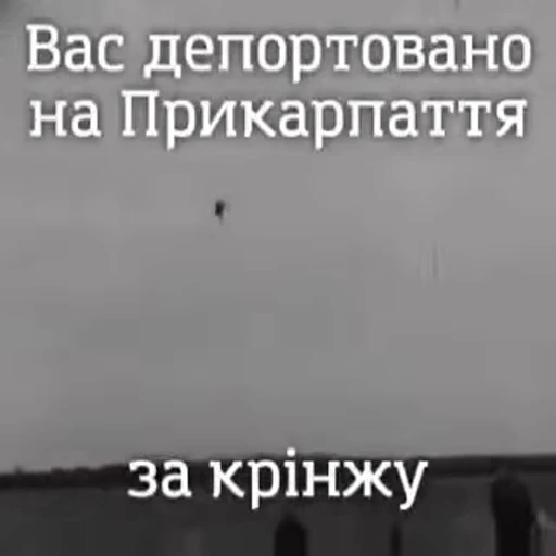 🤔 Стикер «Нісенітниця» для Telegram