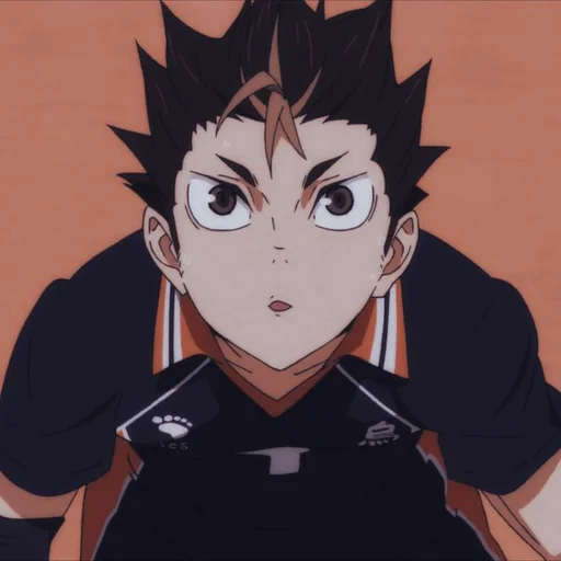 🖇️ Стикер «Nishinoya» для Telegram