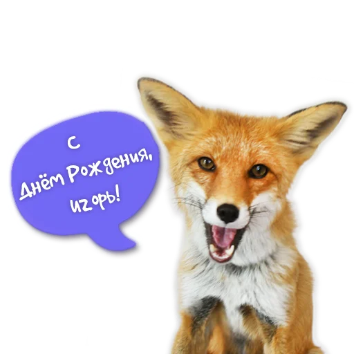 🚂 Стикер «Nixie_fox» для Telegram