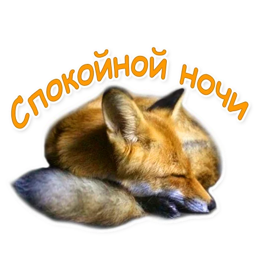 😴 Стикер «Nixie_fox» для Telegram