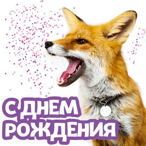 🎉 Стикер «Nixie_fox» для Telegram