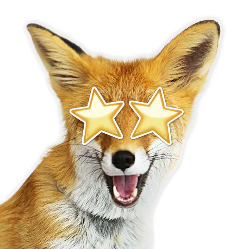 🤩 Стикер «Nixie_fox» для Telegram