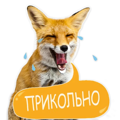 😂 Стикер «Nixie_fox» для Telegram