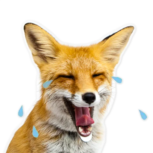 🤣 Стикер «Nixie_fox» для Telegram