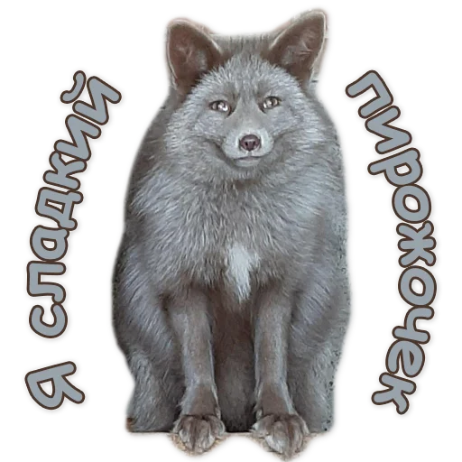 🥟 Стикер «Nixie_fox» для Telegram