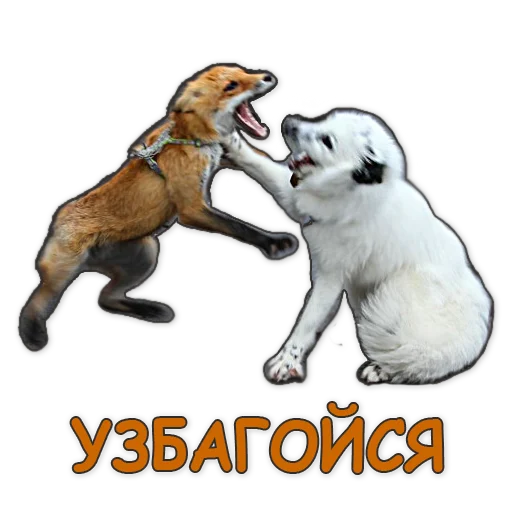 🤨 Стикер «Nixie_fox» для Telegram