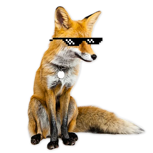 😎 Стикер «Nixie_fox» для Telegram