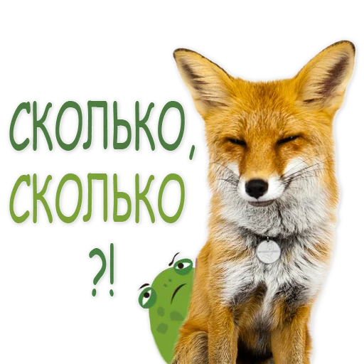 🐸 Стикер «Nixie_fox» для Telegram