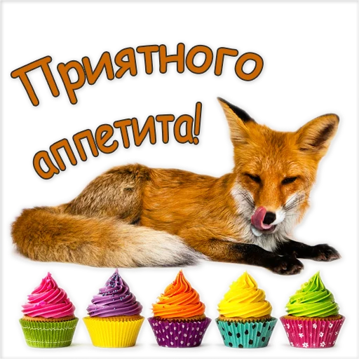 😋 Стикер «Nixie_fox» для Telegram