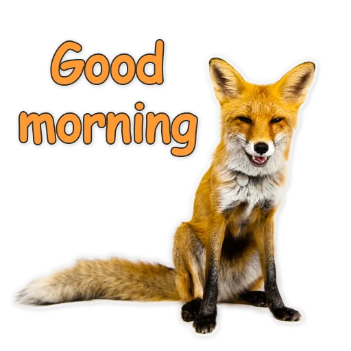 ☀️ Стикер «Nixie_fox» для Telegram
