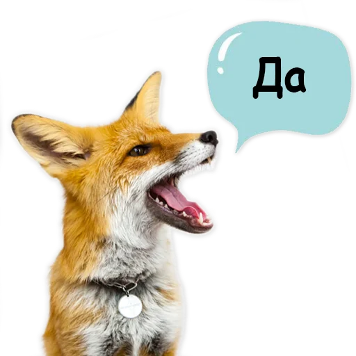 👌 Стикер «Nixie_fox» для Telegram