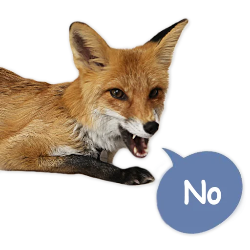 😠 Стикер «Nixie_fox» для Telegram