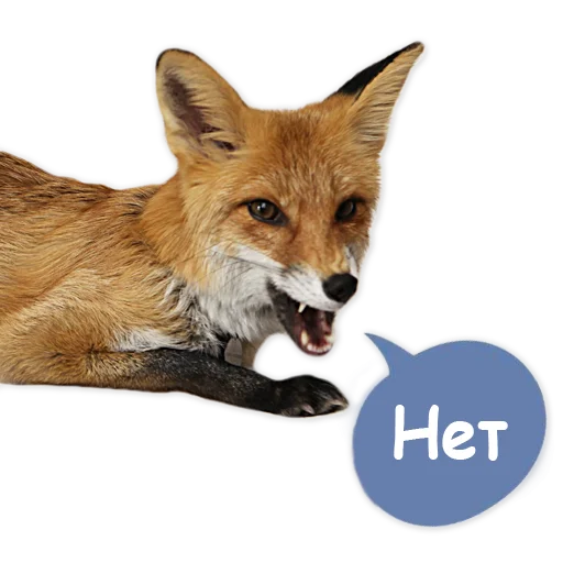 👎 Стикер «Nixie_fox» для Telegram