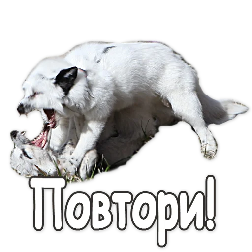 😡 Стикер «Nixie_fox» для Telegram