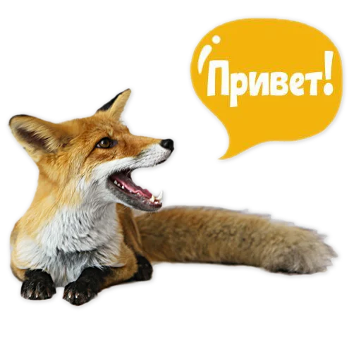 🙌 Стикер «Nixie_fox» для Telegram