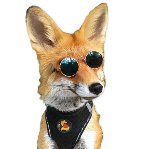 😎 Стикер «Nixie_fox» для Telegram