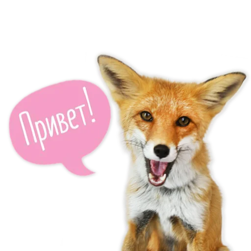 👋 Стикер «Nixie_fox» для Telegram