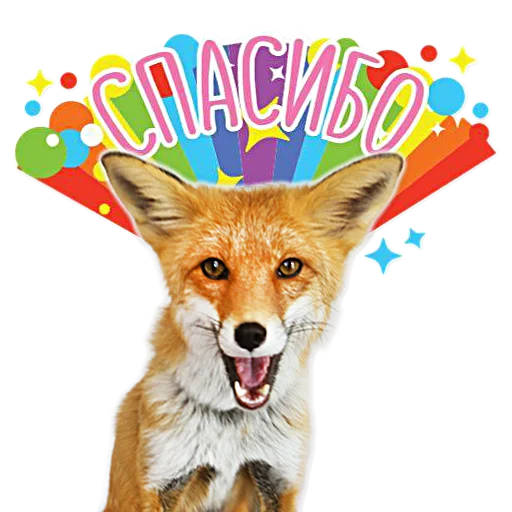🙏 Стикер «Nixie_fox» для Telegram