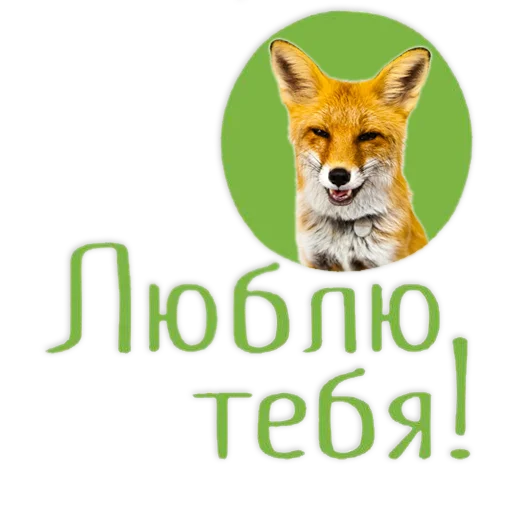 ❤️ Стикер «Nixie_fox» для Telegram