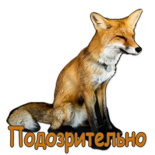 😑 Стикер «Nixie_fox» для Telegram